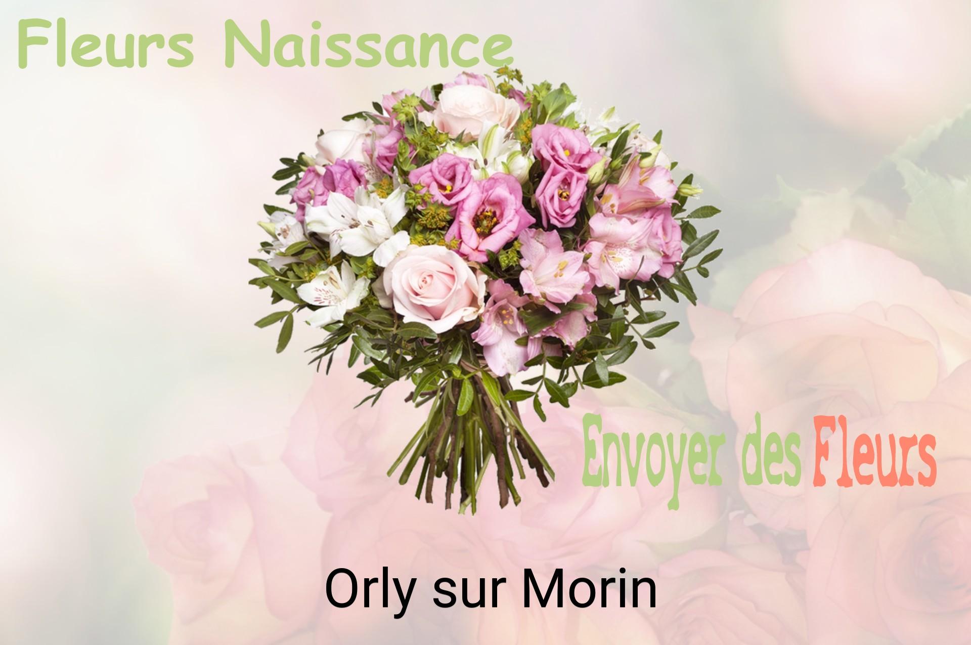 Bouquet de fleurs de naissance livré à Orly-sur-Morin